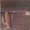 INDIAN SUMMER - INDIAN SUMMER LP (UK ORIGINAL - RCA NEON - NE 3) - 3