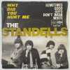 THE STANDELLS - WHY DID YOU HURT ME - ITALIAN PIC SLEEVE SINGLE - TOW 257