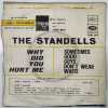 THE STANDELLS - WHY DID YOU HURT ME - ITALIAN PIC SLEEVE SINGLE - TOW 257 - 2