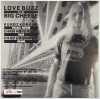 NIRVANA - LOVE BUZZ C/W BIG CHEESE - HOLY GRAIL LIMITED EDITION FIRST 7" SINGLE ON SUB POP (SP23) - 2
