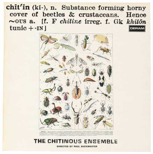 THE CHITINOUS ENSEMBLE - CHITINOUS LP (UK STEREO - DERAM - SML.1093)