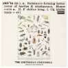 THE CHITINOUS ENSEMBLE - CHITINOUS LP (UK STEREO - DERAM - SML.1093)